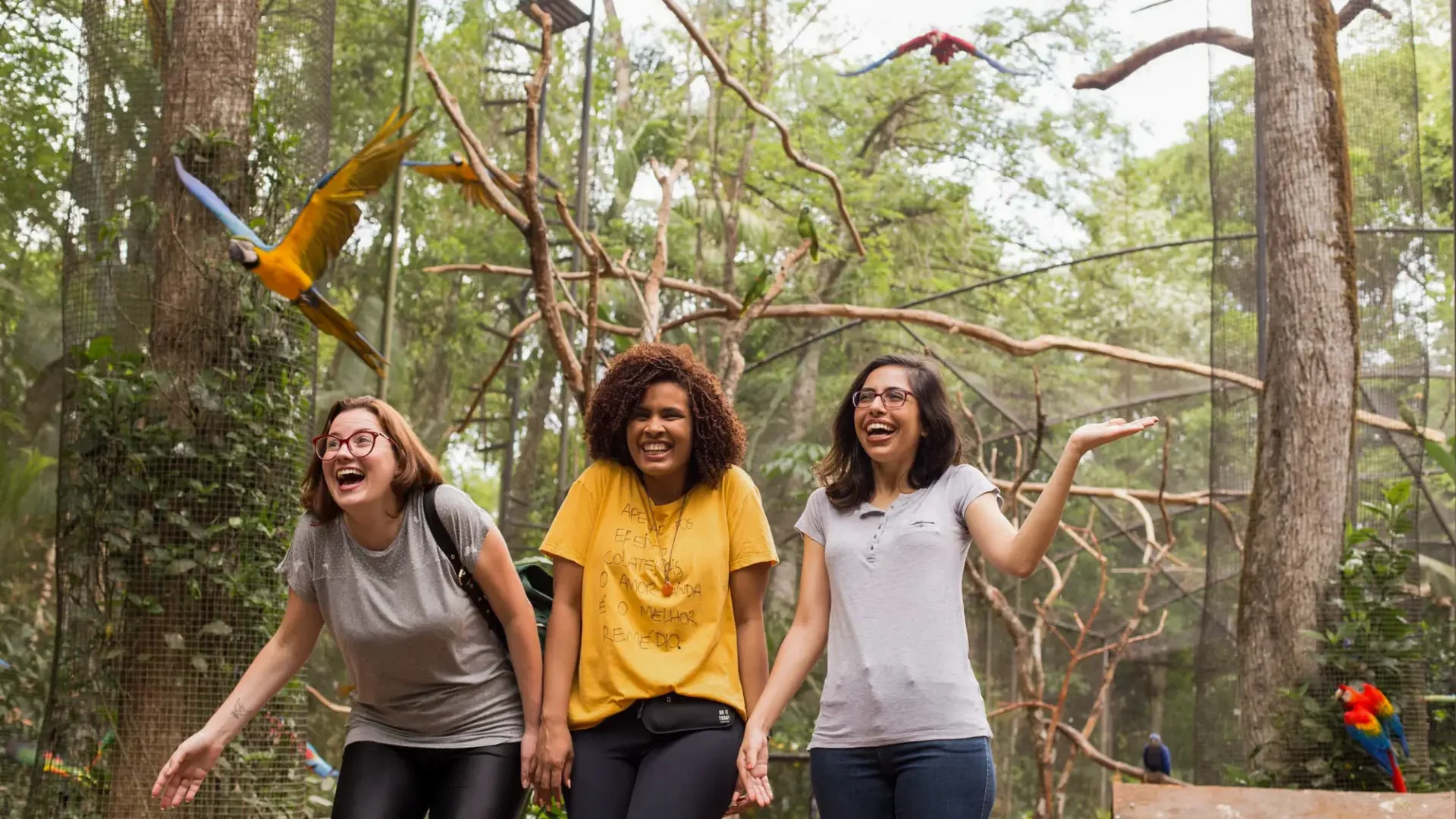 Um-passeio-divertido-no-Viveiro-das-Araras