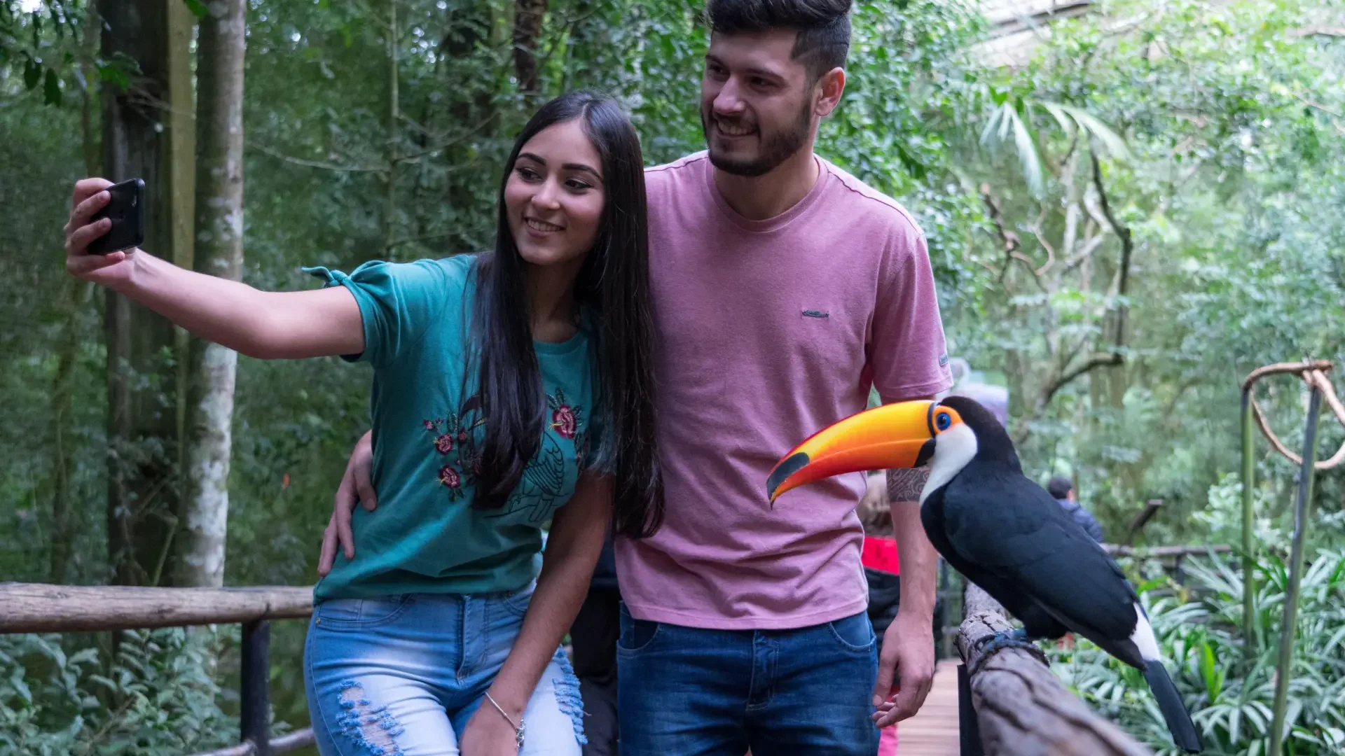 Viveiro-Aves-de-Rios-de-Mangues